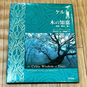 켈트족 나무의 지혜 : 신비, 마법, 치유