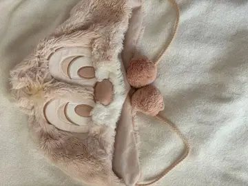 디즈니 팬캡 칩 앤 데일