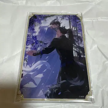 제비뽑기당 이능과 그의 화이트 고양이 사존