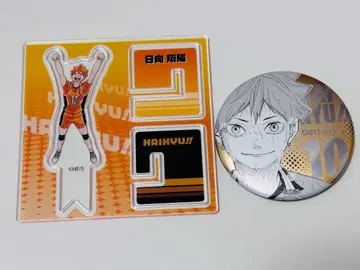 하이큐!! 데콜렉션 캔뱃지 아크릴 피규어 컬렉션 히나타 쇼요