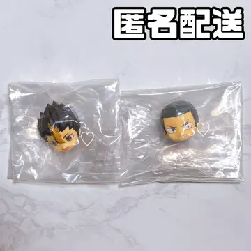 하이큐 넨도로이드 서프라이즈 02 카라스노 편