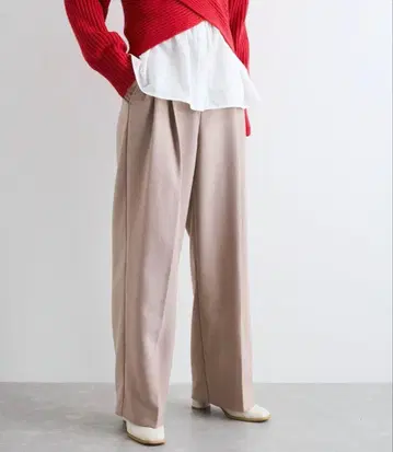 vis [ easy ] 울리쉬 2턱 와이드/슬랙스 팬츠 [ 세탁 가능 ]