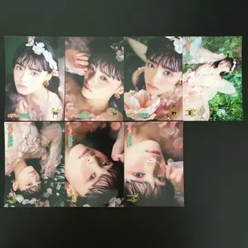 6697 이기나리 도호쿠산 이타테 카사이 브로마이드 7장 세트