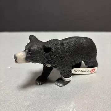 슐라이히 나무늘보