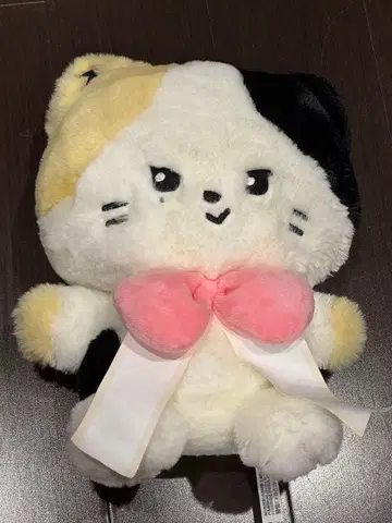 ZB1 리키 리니니 ribbon plush 제로투 제베원