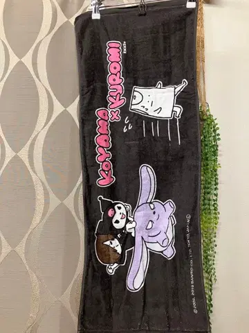 야바이T셔츠야상 산리오 콜라보 타월