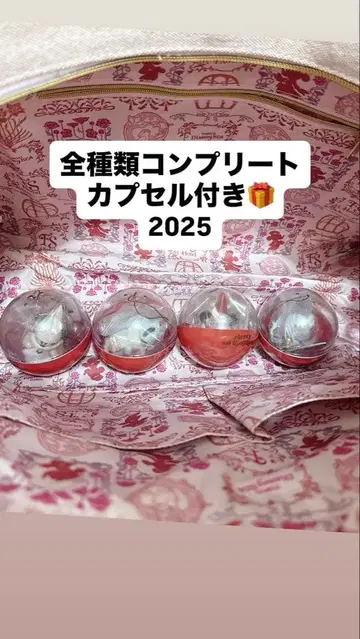 캡슐 토이 전 종류 컴플리트 4개 세트