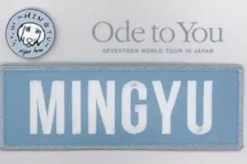 SEVENTEEN 민규 네임 와펜 ode to you