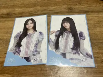 개별 랜덤 엽서 쿠보 시오리 졸업 콘서트 이노우에 나기 카와사키 사쿠라
