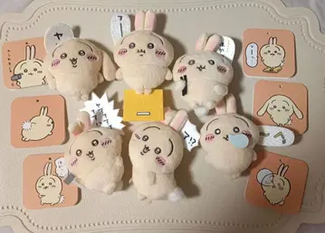 토끼 투성이 복권 E상 컴플리트 세트