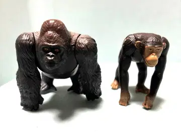 아니아 고릴라 침팬지