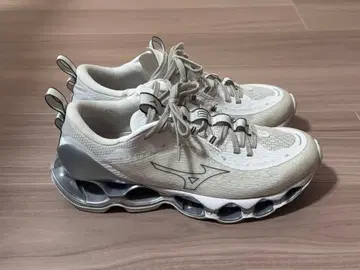 MIZUNO WAVE PROPHECY 13 미즈노 웨이브 프로페시 13