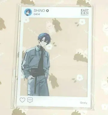 마법사의 약속 마호야쿠 아크릴 카드 시노 ZOZOTOWN