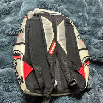 sprayground