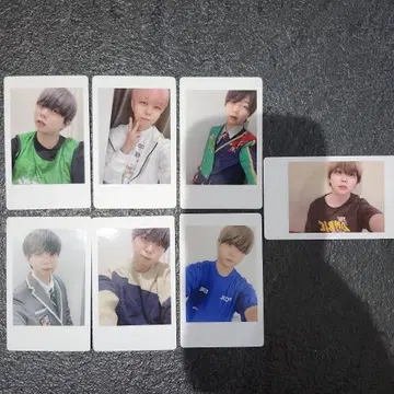 아즈 모찌모찌 팬더 드래곤 하피카