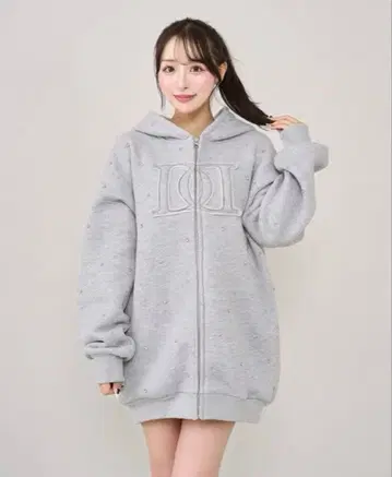 darich 다리치 DD 로고 비쥬 지퍼 후드티