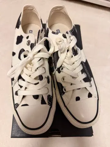 ALL STAR US COWSPOT OX 24cm 화이트/블랙