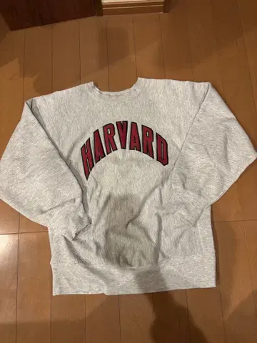 챔피온 리버스 위브 80s XL