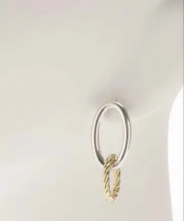 PHILIPPE AUDIBERT 필립 오디베일 2톤 귀걸이