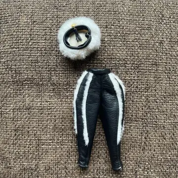 오오이케 엘리나 의류