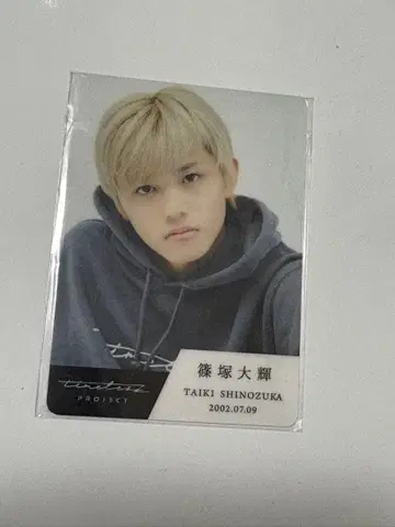 시노즈카 다이키 timelessz project 트레이딩 카드