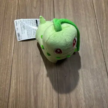 치코리타 봉제 인형