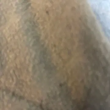 XL 할리데이비슨 하와이안 셔츠