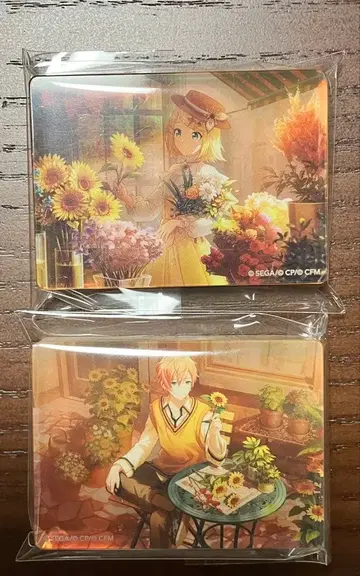 프로세카 카가미네 린 시노노메 아키토 해바라기 노블 아트 2개 세트