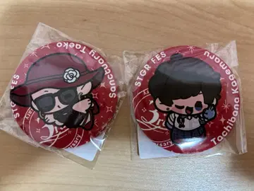 스트그라페스 스트그라 구급대 타치바나 카게마루 생츄어리 타에코 캔뱃지