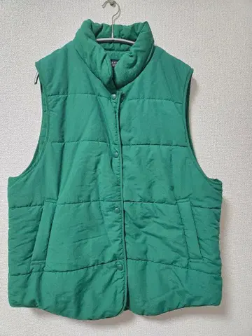 그린 다운 베스트