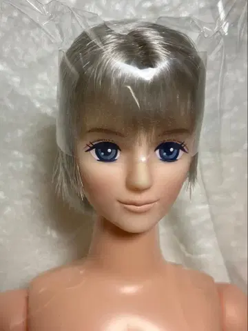 리카짱 캐슬 오타노시미 인형 타쿠미 오타노시미 인형