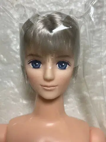 리카짱 캐슬 오타노시미 인형 타쿠미 오타노시미 인형