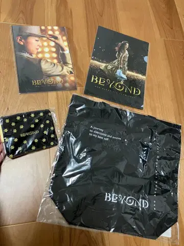 아사다 마오 BEYOND 토트백 파우치 팜플렛 클리어 파일