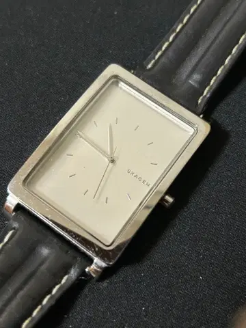 스카겐 남성용 쿼츠 가동 중