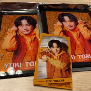 액터즈 리그 레인 복권 E상 C상 토리코시 유키