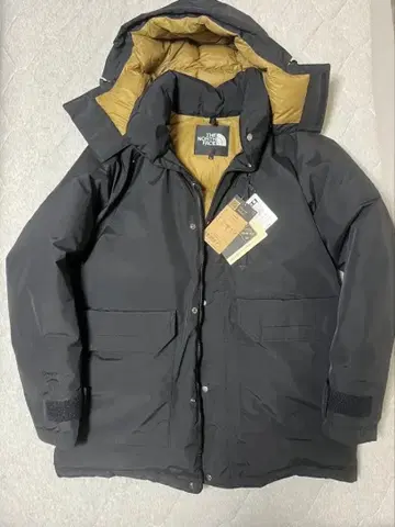 THE NORTH FACE GTX Serow Jacket
