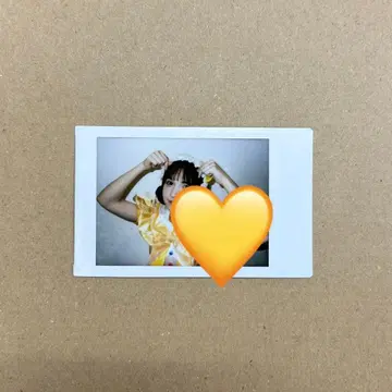 하야세 노엘 파라 란체키