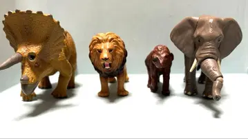 아니아 유쾌한 동료들