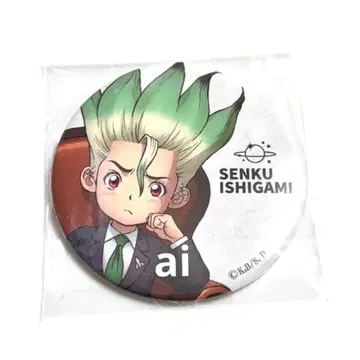 Dr.STONE 마루이 벌스데이 가족사진 캔뱃지 이시가미 센쿠