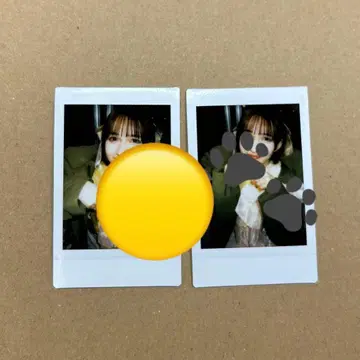 하야세 노엘 리리이베 폴라로이드