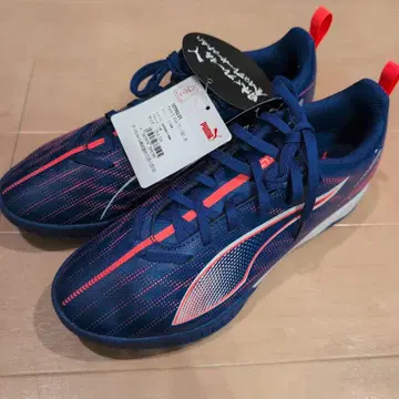 푸마 트레이닝화 24.0cm