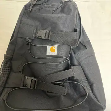 Carhartt 블랙 백팩