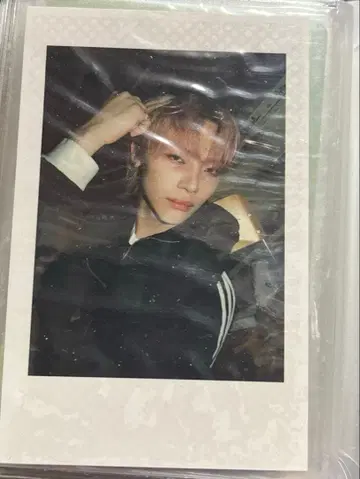 andteam 니콜라스 폴라로이드