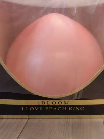 BLOOM 스퀴즈 블루밍 복숭아 아이러브피치 킹 KING