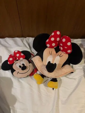 미니 마우스 팬캡, 파우치