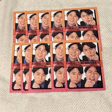 금붕어 번장 세트