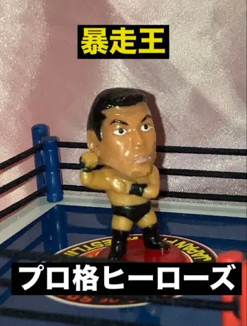 프로 격투 히어로즈 폭주왕