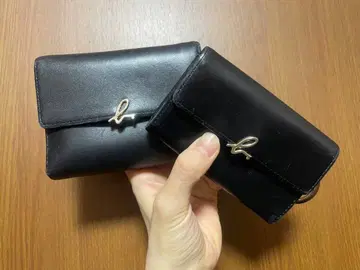 아네스베 지갑 키케이스