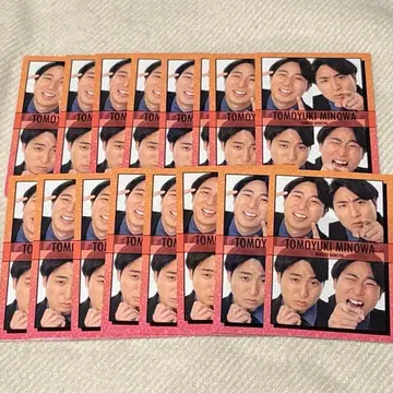 금붕어 번장 세트