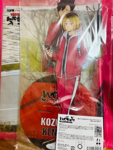 극장판 하이큐 DVD 특전 아크릴 스탠드 B3 사이즈 천 포스터